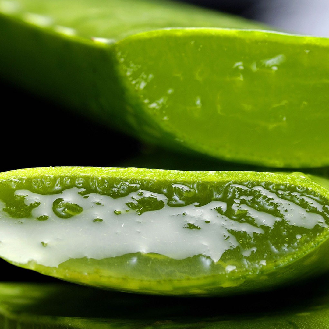 Uses and health benefits of Aloe Vera