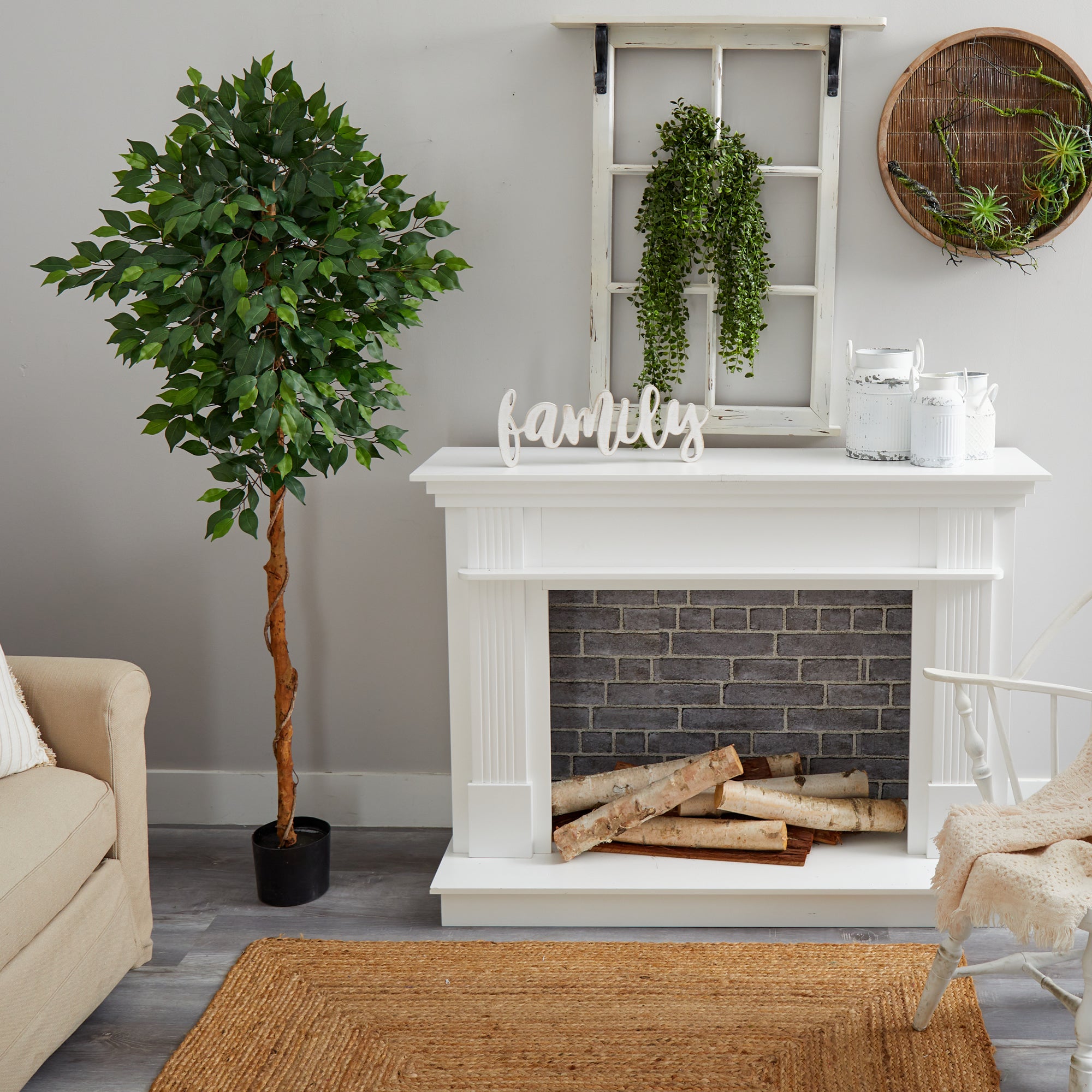 Live Plants vs Artificial Plants