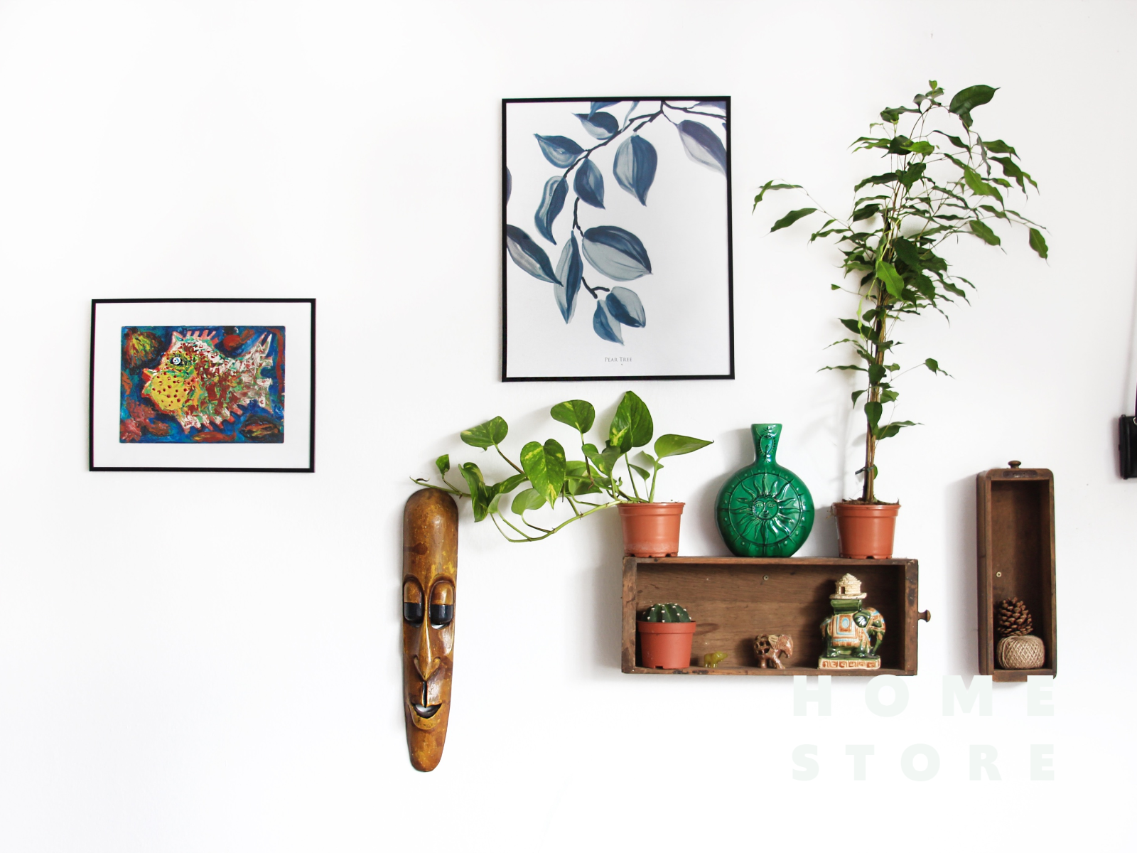 4 Tips to keep your succulents thriving during winter