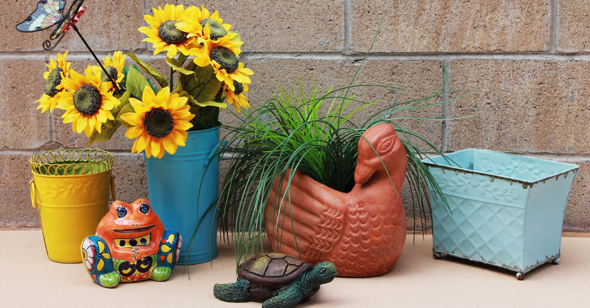 Watering Succulents in Pots Without Drainage Holes